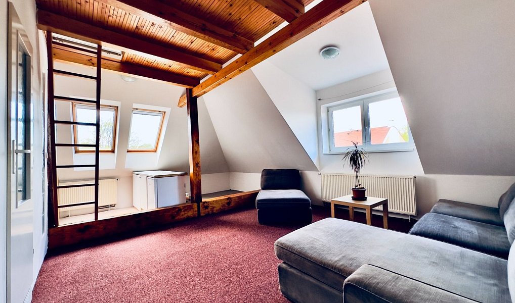 Pronájem bytu 1+kk 45 m², Cheb – náhled fotky 6