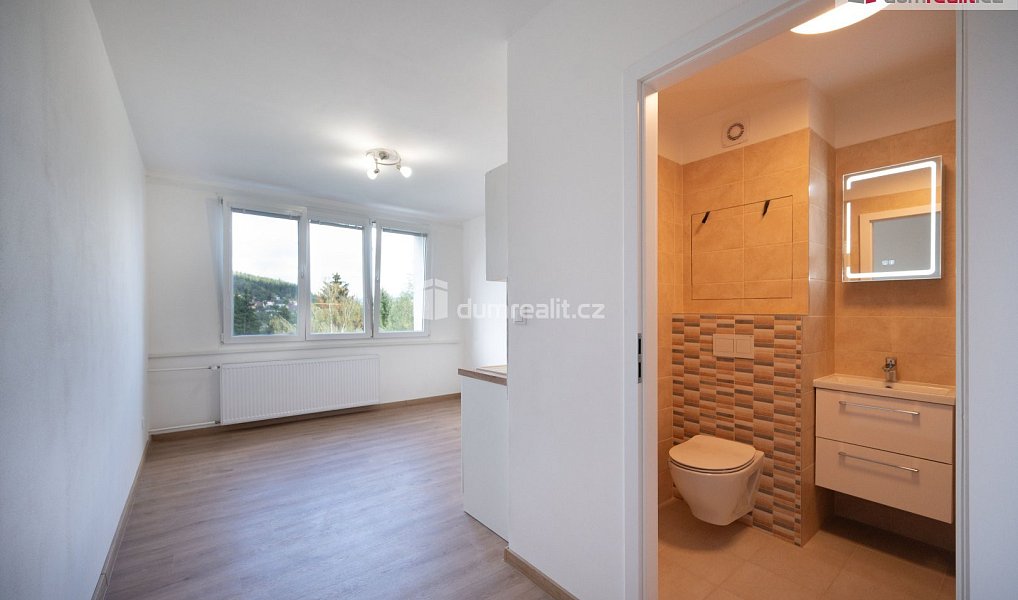 Prodej bytu 1+kk 19 m², Větřní – náhled fotky 9