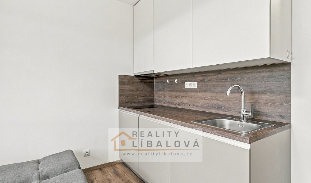 Pronájem bytu 1+kk 20 m², Ústí nad Labem – náhled fotky 6