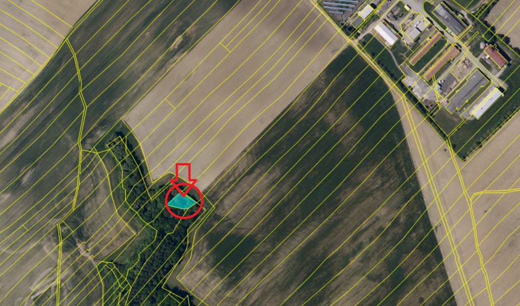 Prodej lesa 1 783 m², Ježkovice – náhled fotky 4