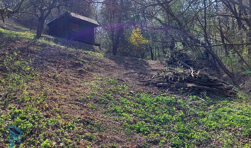 Prodej stavebního pozemku 1 778 m², Bílovice nad Svitavou – náhled fotky 3