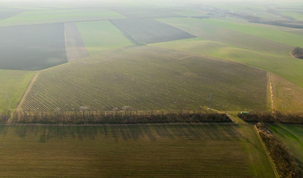 Ostatní