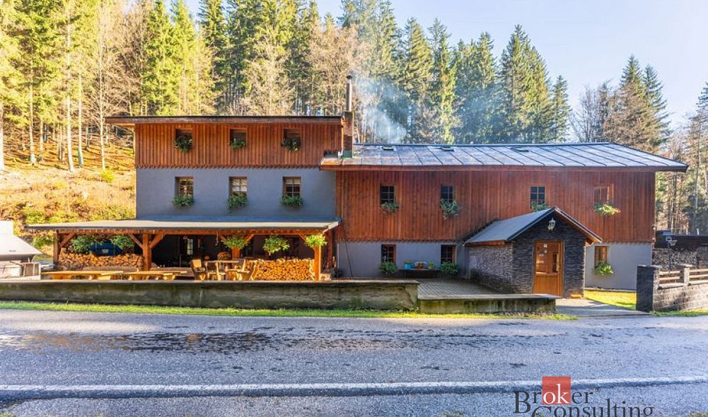 Prodej domu 650 m² s pozemkem 906 m², Strážné – náhled fotky 47
