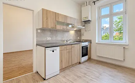 Pronájem bytu 2+1 55 m², Husova, Plzeň - Jižní Předměstí