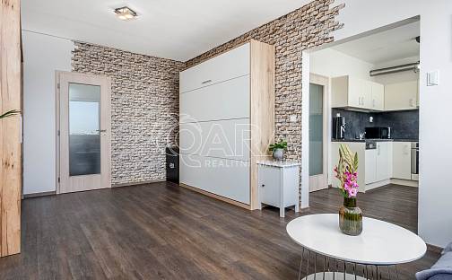 Pronájem bytu 1+1 45 m², plukovníka Mráze, Praha 10 - Hostivař