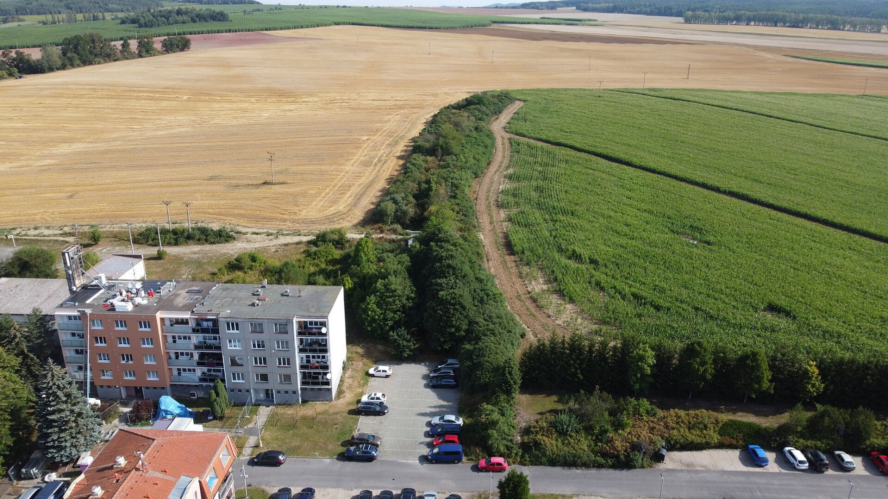Prodej pole 6 167 m² – fotografie 3
