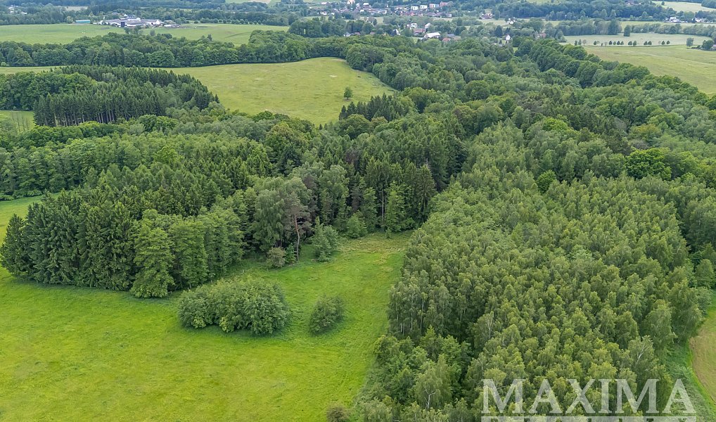 Prodej pole 14 573 m², Višňová – náhled fotky 19