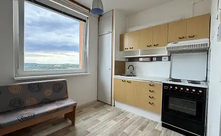 Pronájem bytu 1+1 40 m²