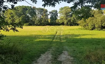 Pronájem zahrady 9 756 m², Opava - Zlatníky