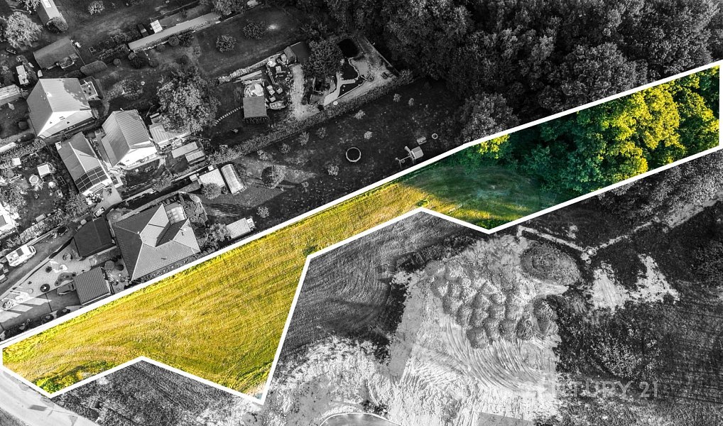 Prodej stavebního pozemku 2 918 m², Borovany – náhled fotky 2