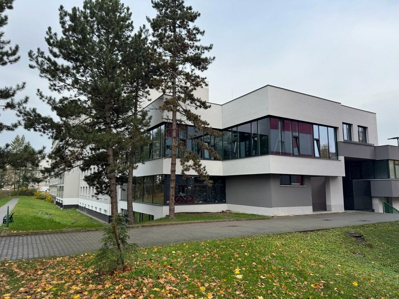Pronájem obchodních prostor 263 m² – fotografie 3