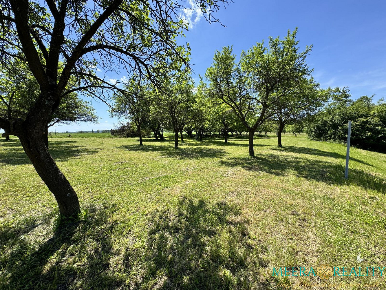 Prodej stavebního pozemku 2980 m², Bílé Poličany, okres Trutnov – další