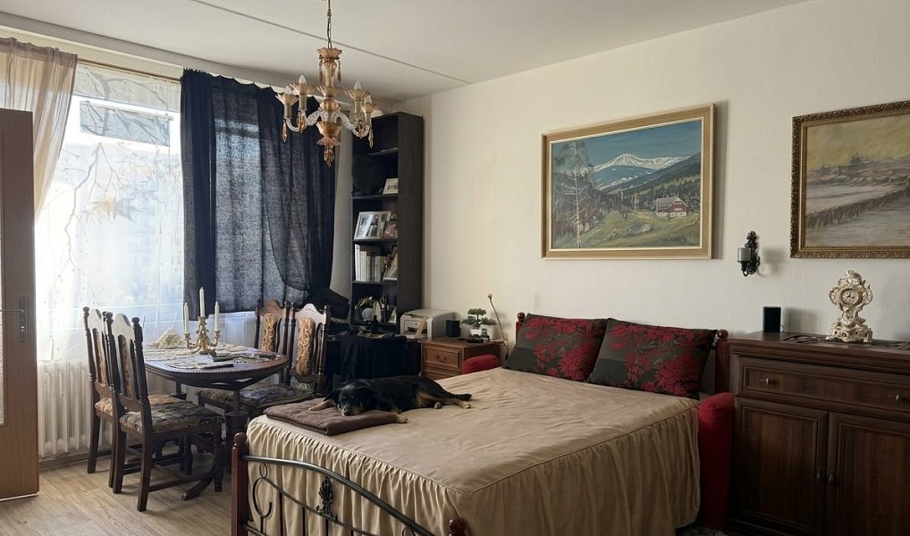Prodej bytu 1+1 30 m², Praha – náhled fotky 5