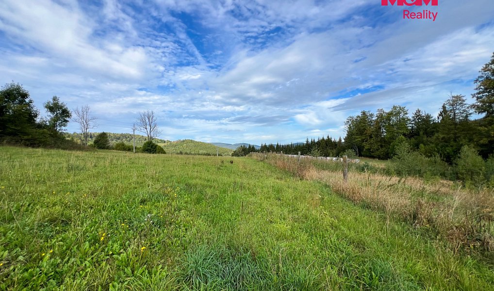 Prodej stavebního pozemku 64 409 m², Záblatí – náhled fotky 10