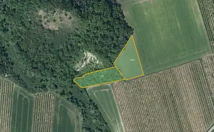Prodej pole 28 919 m², Želkovice, okres Louny