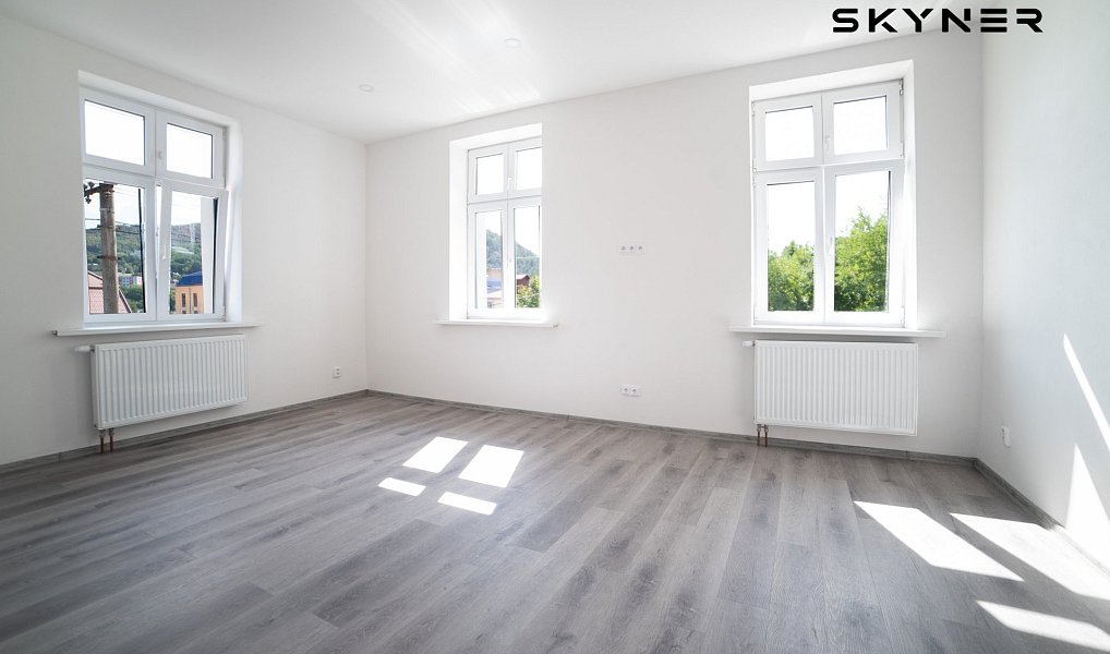 Pronájem ubytovacího objektu 255 m², Ústí nad Labem – náhled fotky 5