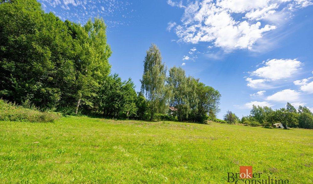 Prodej stavebního pozemku 7 018 m², Velké Hamry – náhled fotky 13