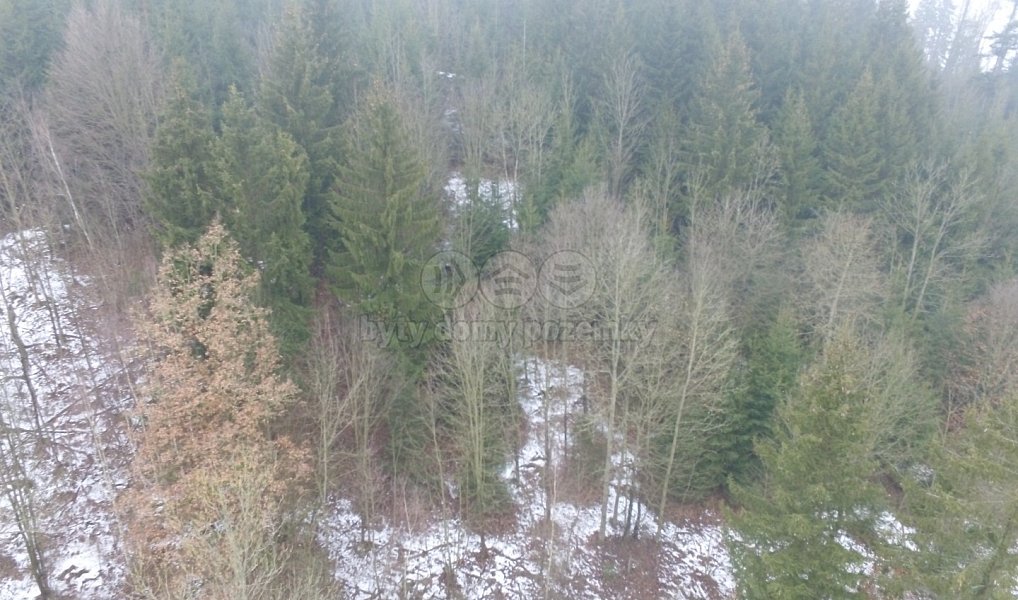Prodej lesa 89 634 m², Řetová – náhled fotky 2