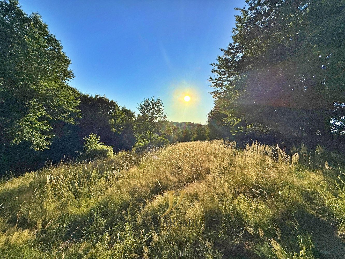 Fotka 16 z 18