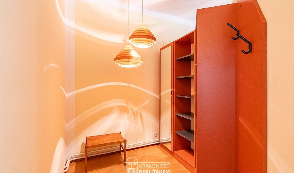 Pronájem komerčního objektu (jiného typu) 96 m², Hranice – náhled fotky 23