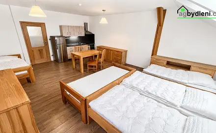Pronájem bytu 1+kk 43 m², Čermná, okres Domažlice