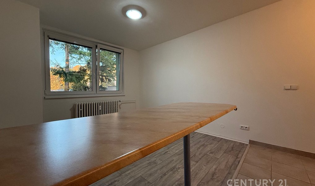 Pronájem bytu 1+kk 25 m², Brno – náhled fotky 9