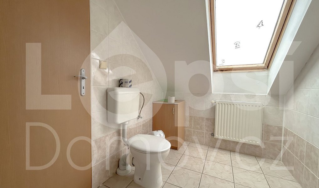 Prodej ubytovacího objektu 330 m², Zlaté Hory – náhled fotky 15
