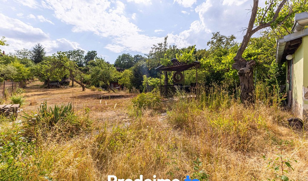 Prodej zahrady 1 586 m², Znojmo – náhled fotky 6