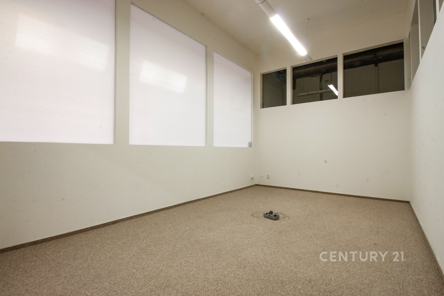 Pronájem kanceláře 262 m² – fotografie 4