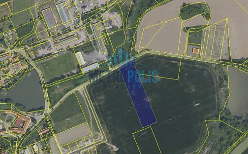 Prodej pole 10 065 m², Lešany, okres Benešov