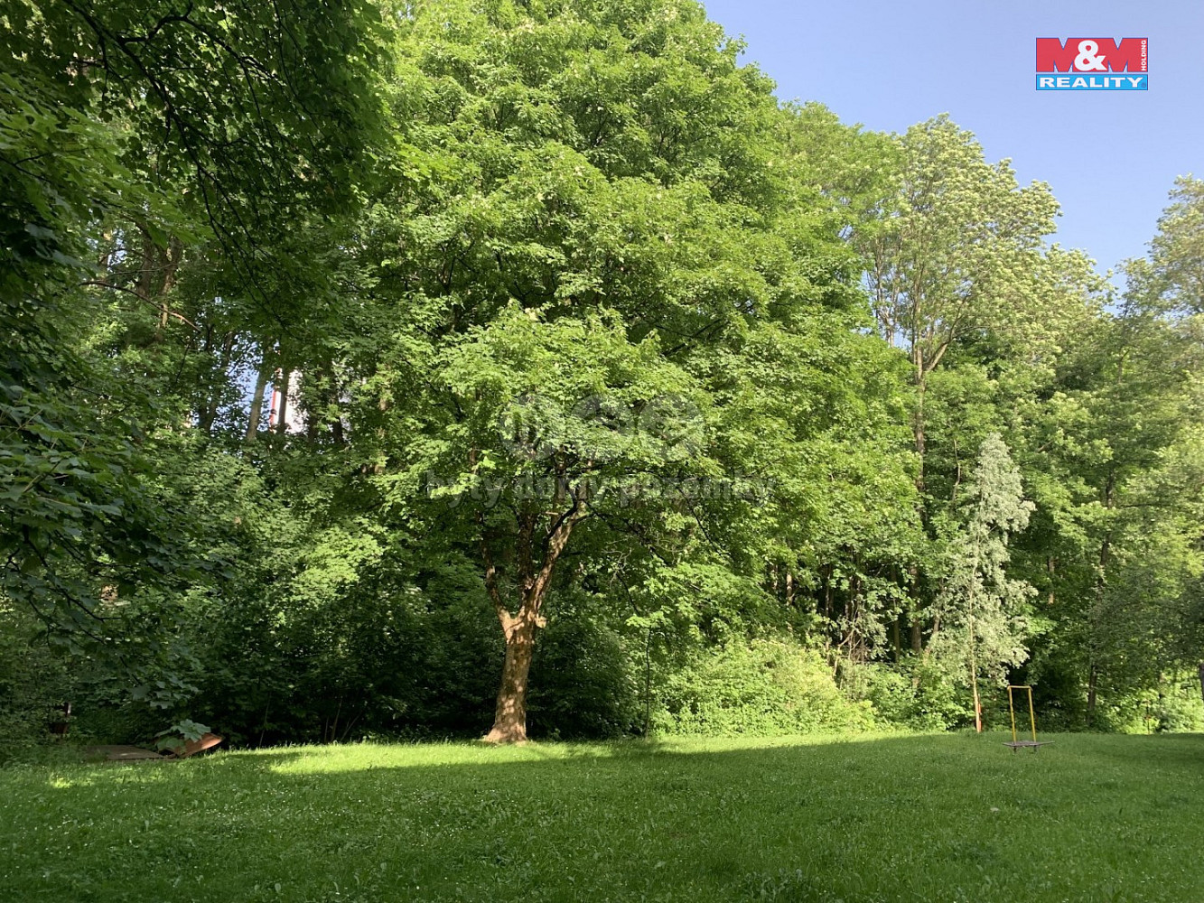 Prodej lesa 9 272 m² — photo 3