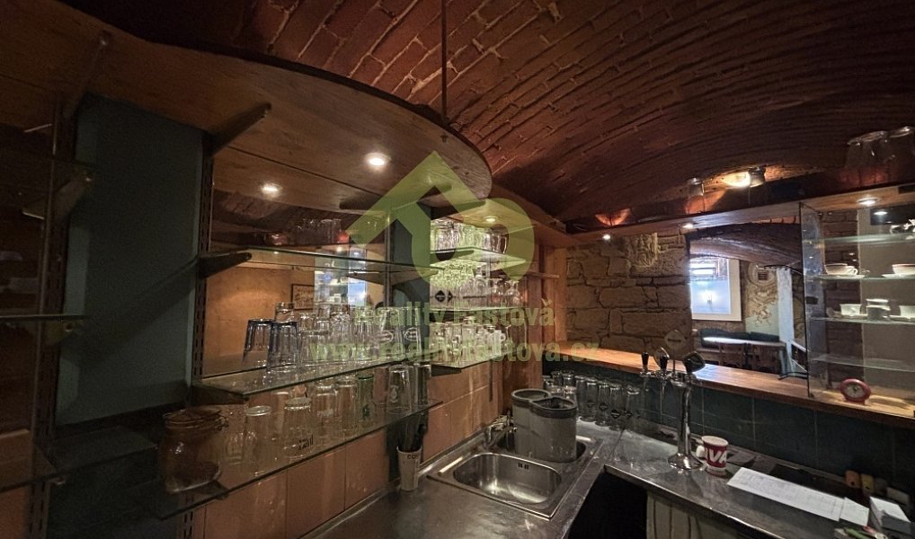 Prodej domu 776 m² s pozemkem 192 m², Plzeň – náhled fotky 32