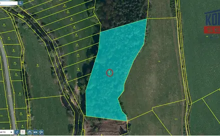Prodej lesa 9 664 m², Číchov, okres Třebíč