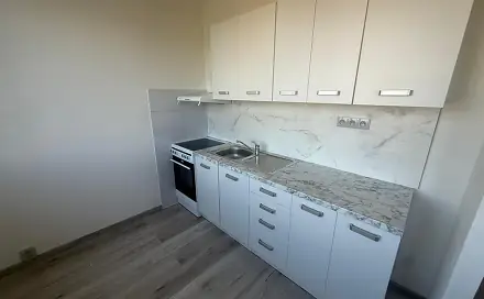 Pronájem bytu 1+1 34 m², Javorová, Most