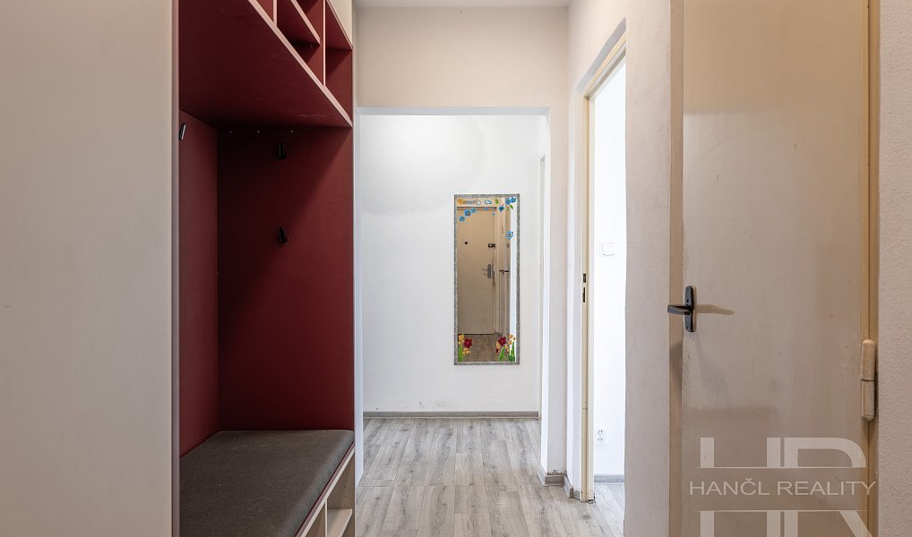 Prodej bytu 2+1 54 m², Brno – náhled fotky 18