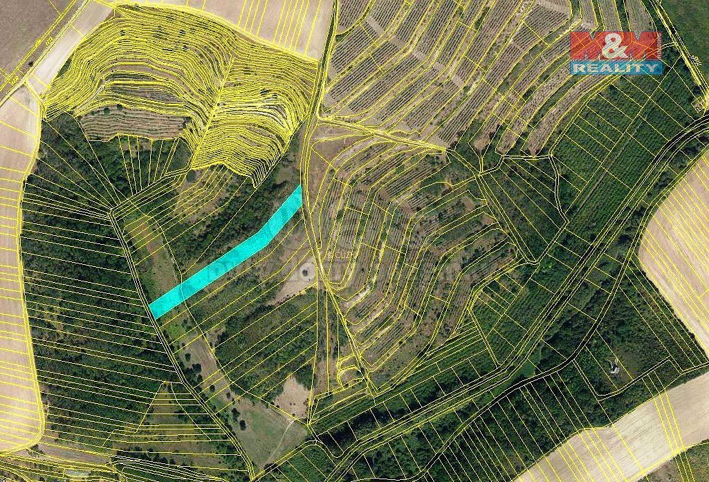 Prodej lesa 3 415 m²