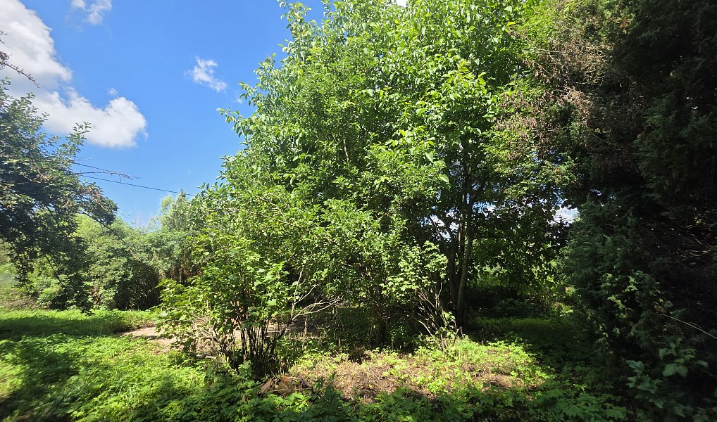 Prodej chaty/chalupy 40 m² s pozemkem 1 119 m², Roblín – náhled fotky 3