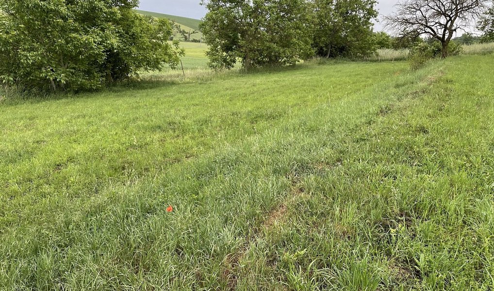 Prodej stavebního pozemku 896 m², Násedlovice – náhled fotky 10