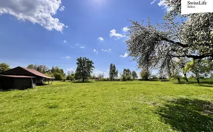 Prodej stavebního pozemku 3 735 m², Krsy, okres Plzeň-sever