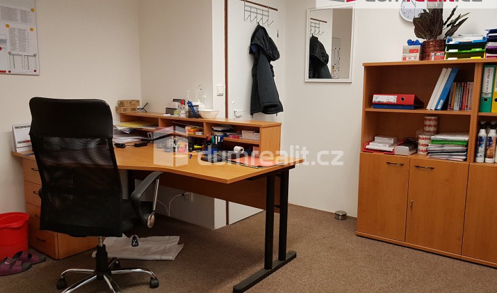 Prodej výrobních prostor 4 252 m², Kaplice – náhled fotky 19