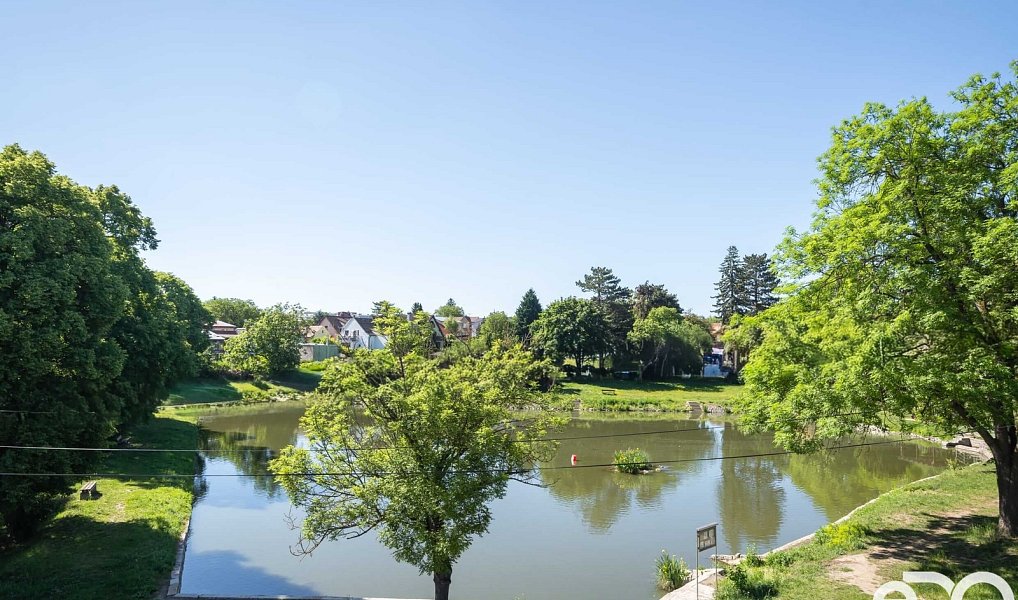 Prodej domu 235 m² s pozemkem 854 m², Brandýs nad Labem-Stará Boleslav – náhled fotky 10