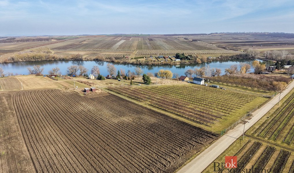 Prodej pozemku 2 791 m², Velké Bílovice – náhled fotky 13