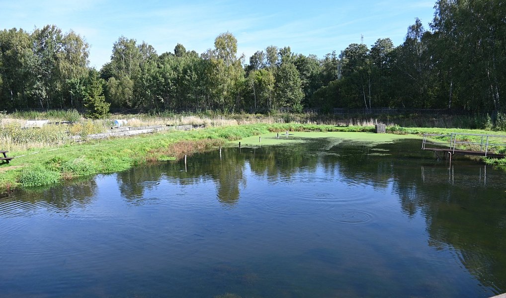 Prodej komerčního objektu (jiného typu) 5 700 m², Lomnice – náhled fotky 27