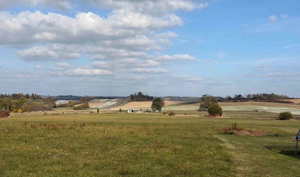 Prodej lesa 2 612 m², Brtnice – náhled fotky 3