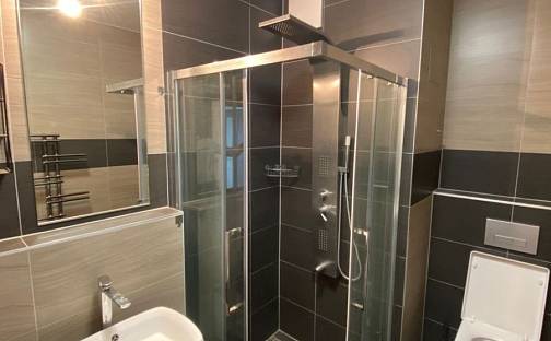 Prodej bytu 1+kk 41 m², České Vrbné, České Budějovice - České Budějovice 2