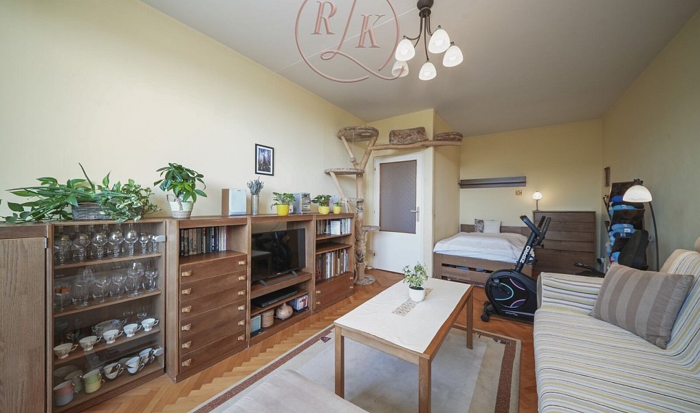 Prodej bytu 2+1 57 m², Brno – náhled fotky 14