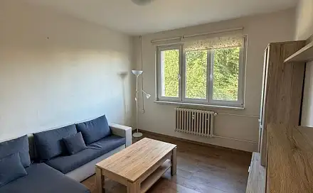Pronájem bytu 1+kk 18 m², Veletržní, Brno - Staré Brno