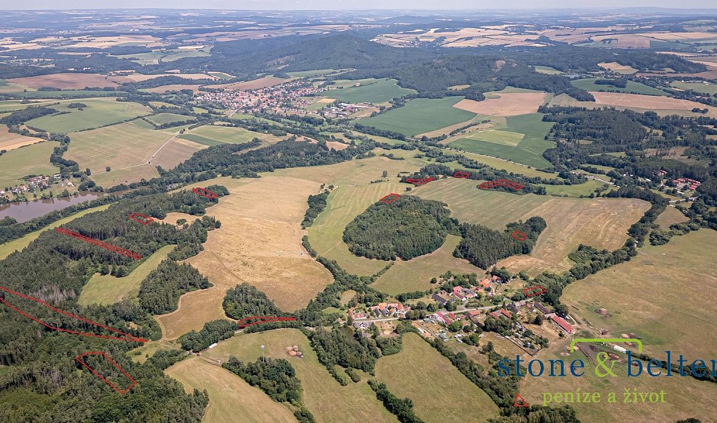 Prodej lesa, 45954 m², Benešov, Zvěstov