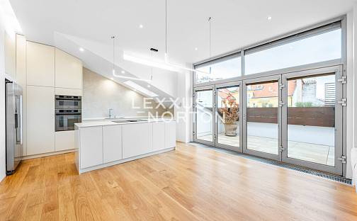 Pronájem bytu 5+1 220 m², Mánesova, Praha 2 - Vinohrady