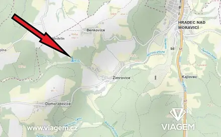 Prodej lesa 7 763 m², Hradec nad Moravicí, okres Opava